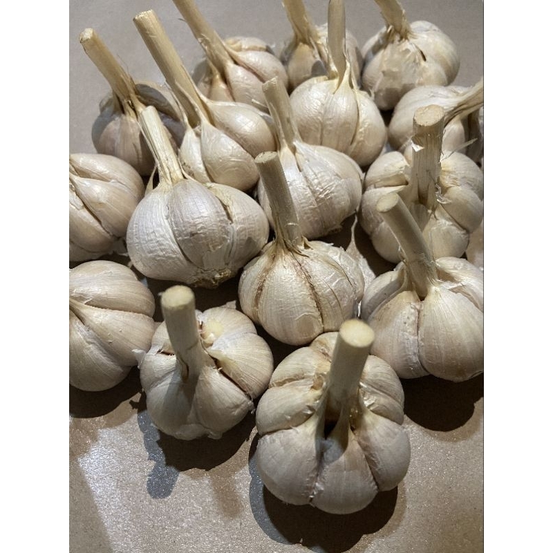 

Bawang Putih Kating Bersih Murah Garlic 1Kg