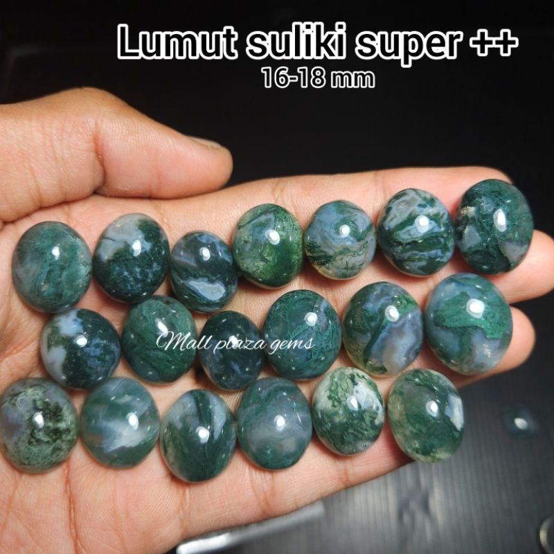batu lumut suliki natural / batu badar lumut