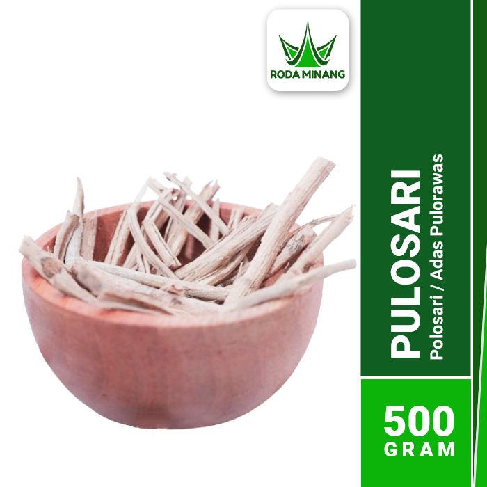 

Kayu Pulosari Kulit Kering Adas Pulowaras Batang Pulasari Polosari Masak Premium - 500 Gram
