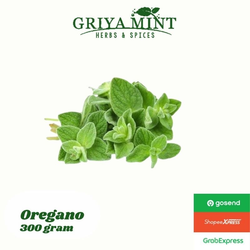 

OREGANO SEGAR / Herb Fresh 300 gram