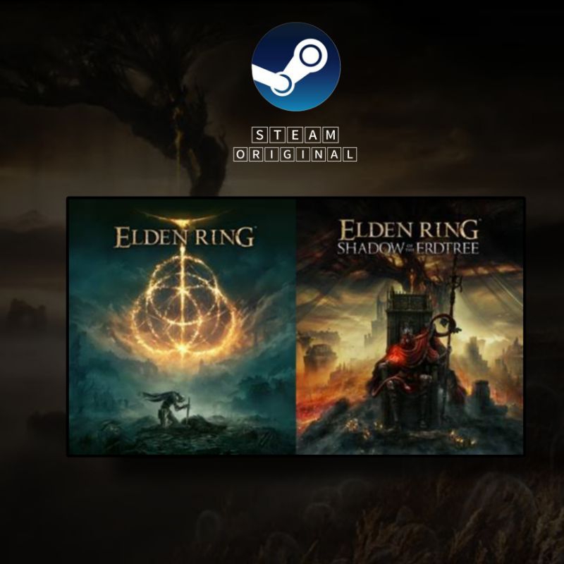 Elden Ring + Shadow Of Erdtree Original Steam
