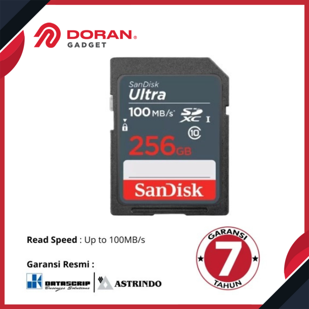 SD Card 256GB CL10 100MBPS Sandisk - Garnsi Resmi