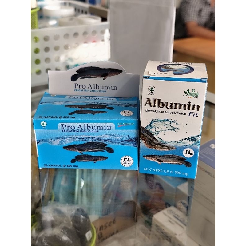Pro albumin / Estrak Ikan Gabus Atau Kutuk / Albumin Fit