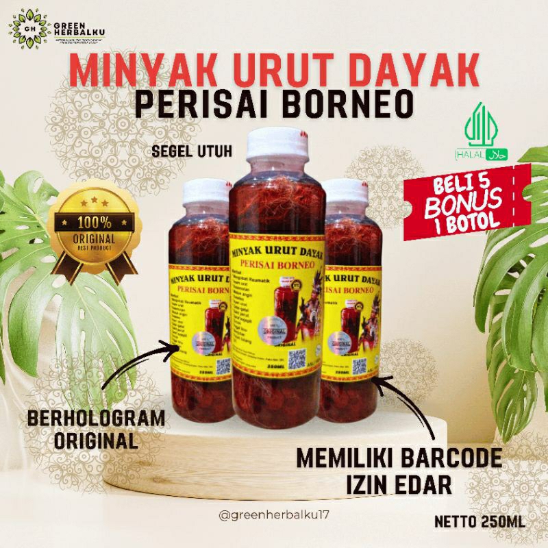 Minyak Urut Dayak Perisai Borneo Original Minyak Urut Ida Dayak Asli Kalimantan