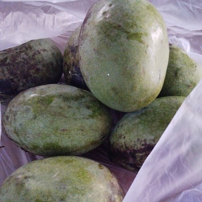 

mangga manalagi 1KG