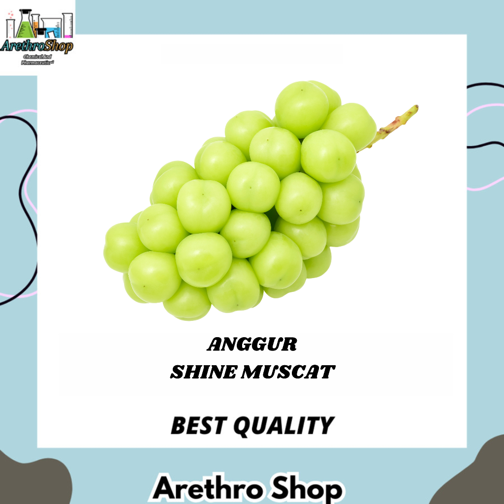 

ANGGUR SHINE MUSCAT 1 IKAT BEST SELLER