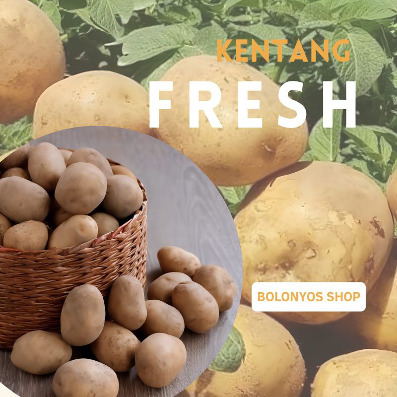 

kentang 500gr