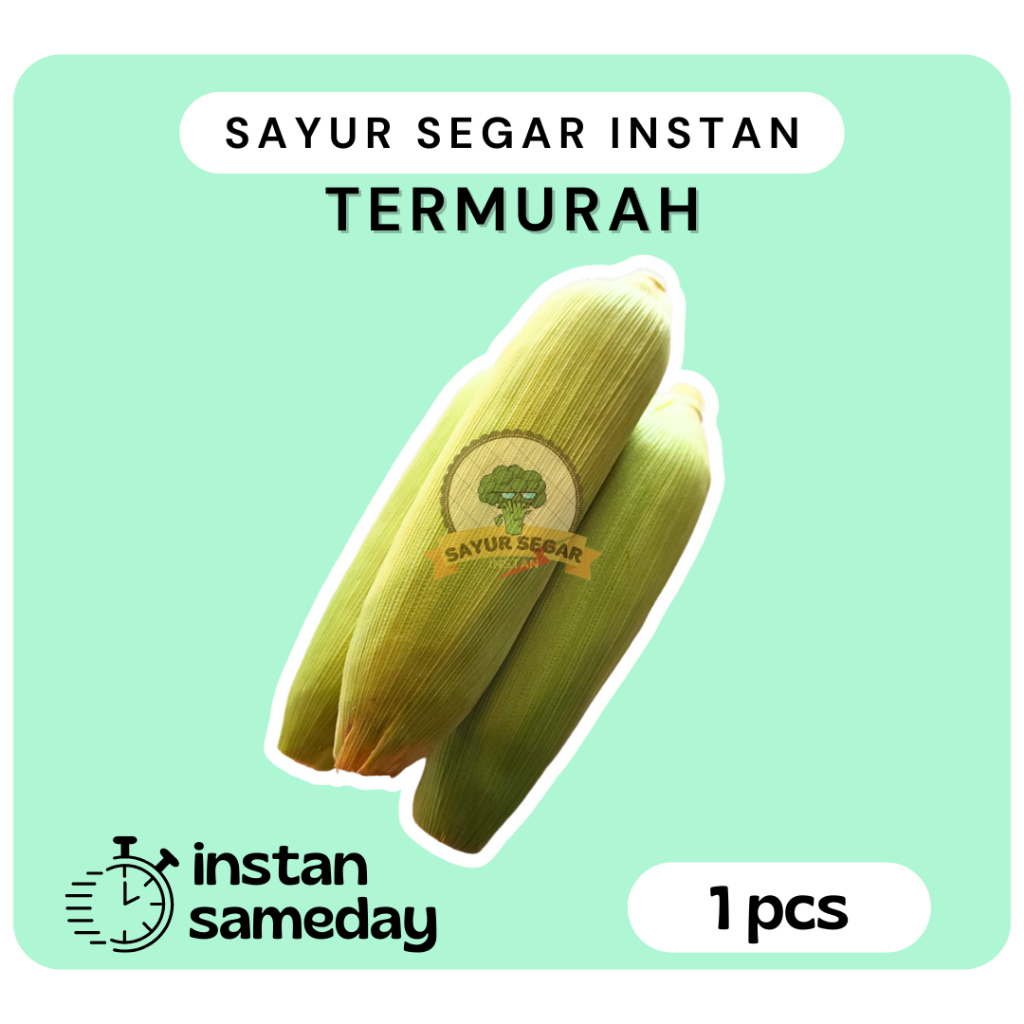 

Jagung Manis / Jagung Madu Segar 1 pcs