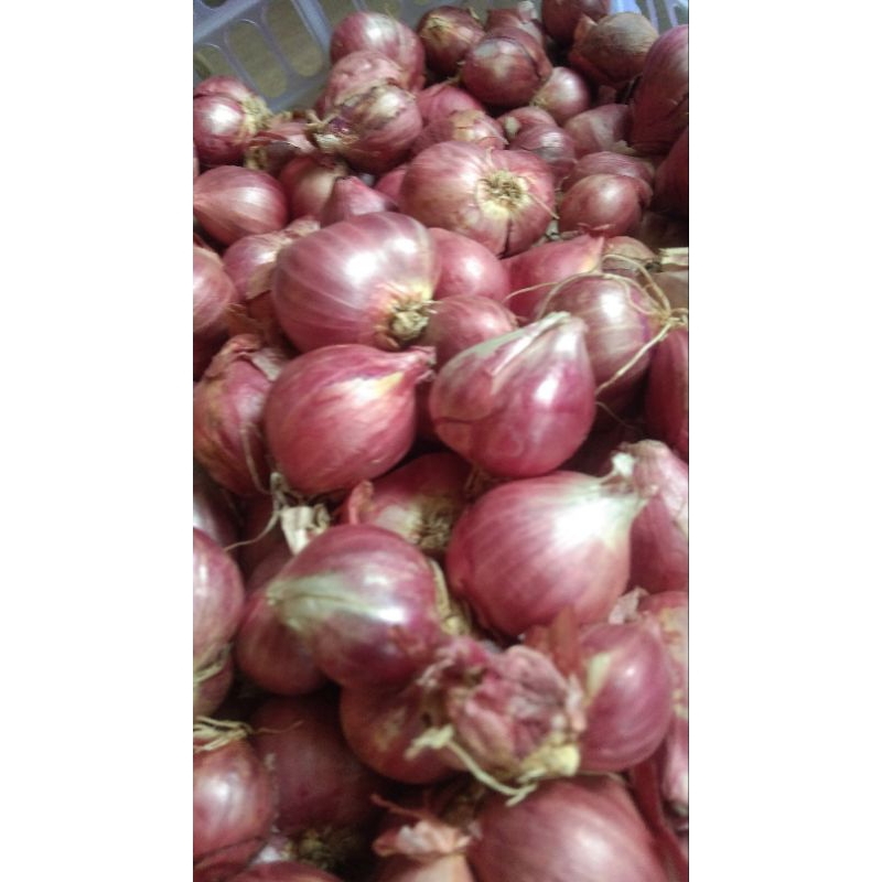 

Bawang merah 500g