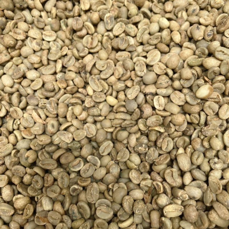 

Biji Kopi Arabica Gunung Tilu Pangalengan Bandung Full Wash