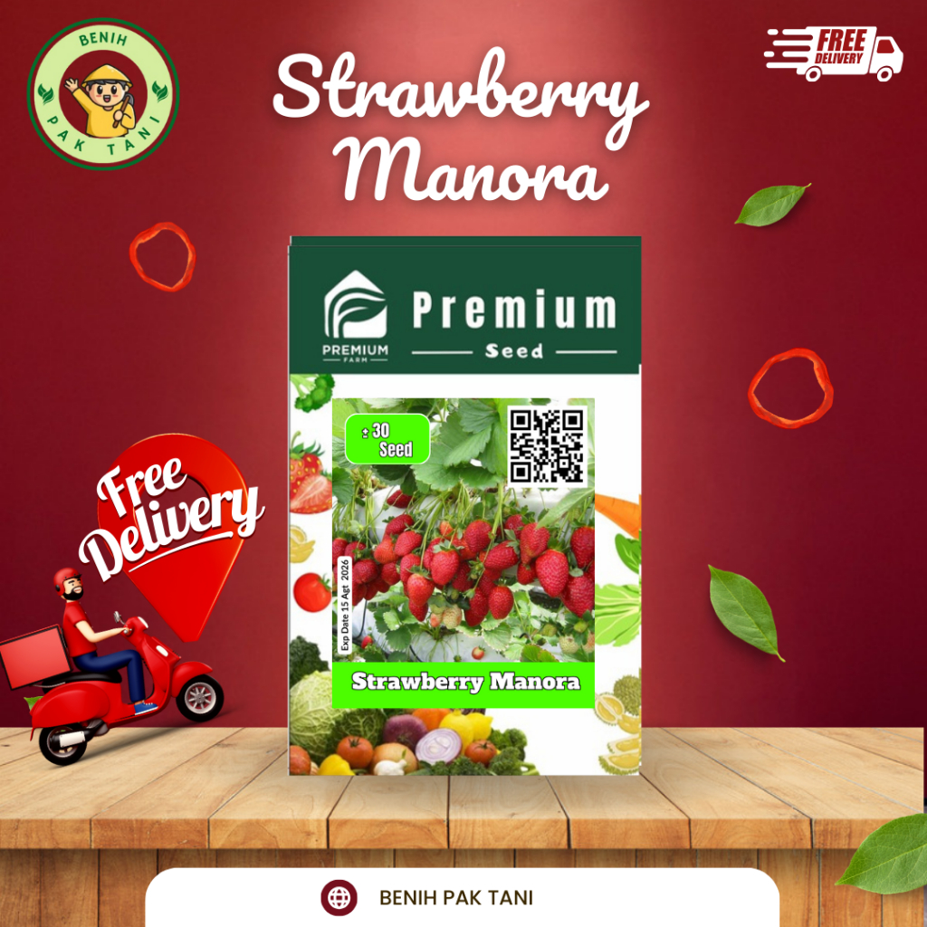 Benih  STROBERI  MANORA PREMIUM SEEDS Buah manis Cocok Dataran Rendah
