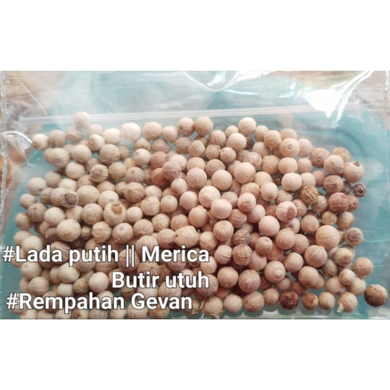 

Lada Putih 10gram Original , merica Biji utuh