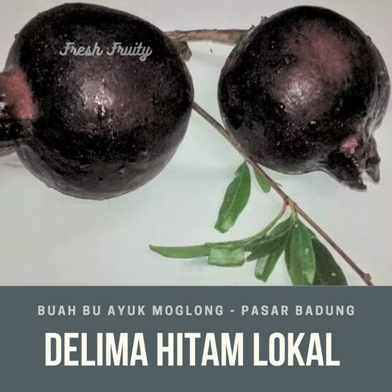 

delima hitam lokal/pcs