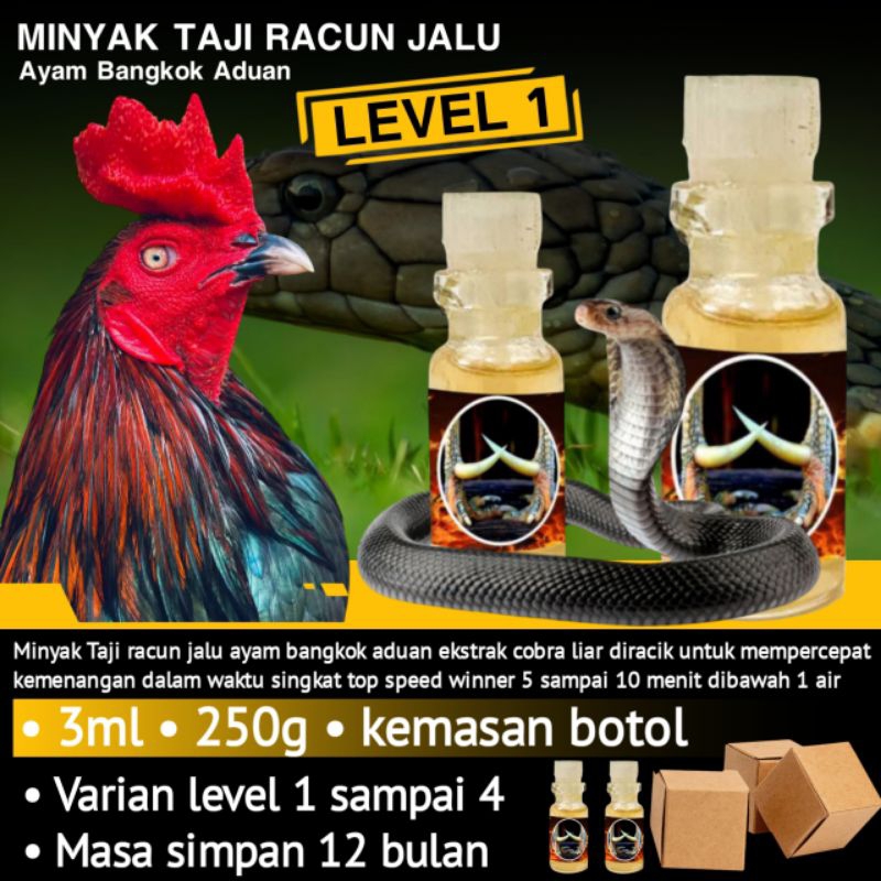 Doping Rawatan Ayam Bangkok Pama