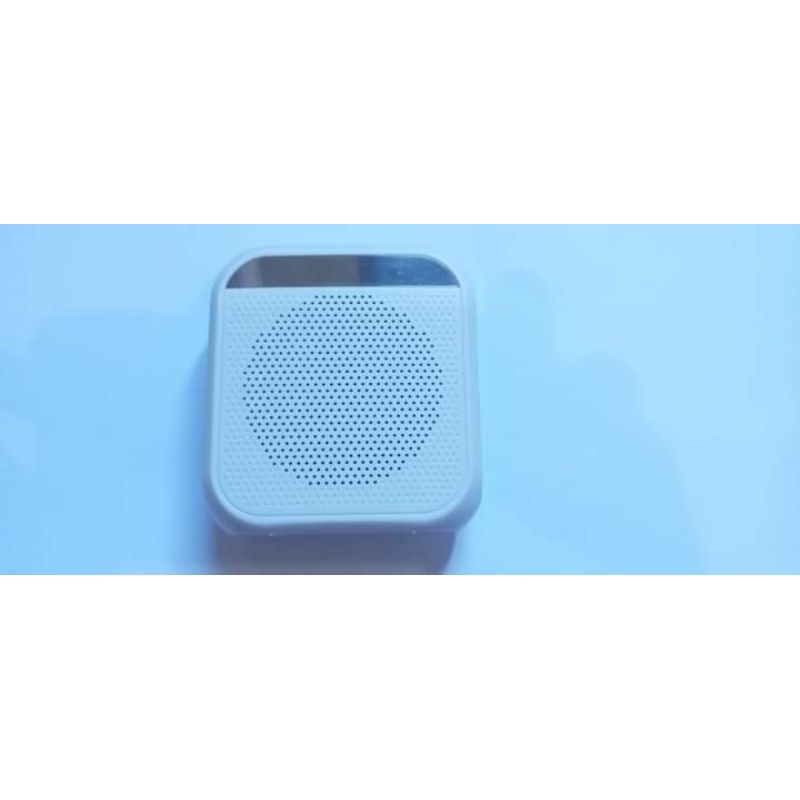 Speaker Megaphone/Teaching/Tour Guide