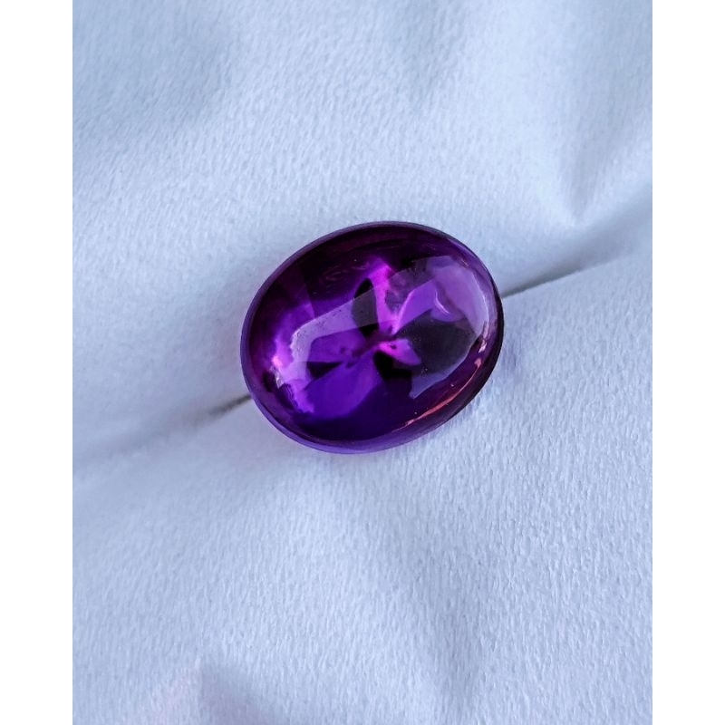 KECUBUNG UNGU ASLI BORNEO KALIMANTAN KECUBUNG PANGKALANBUN