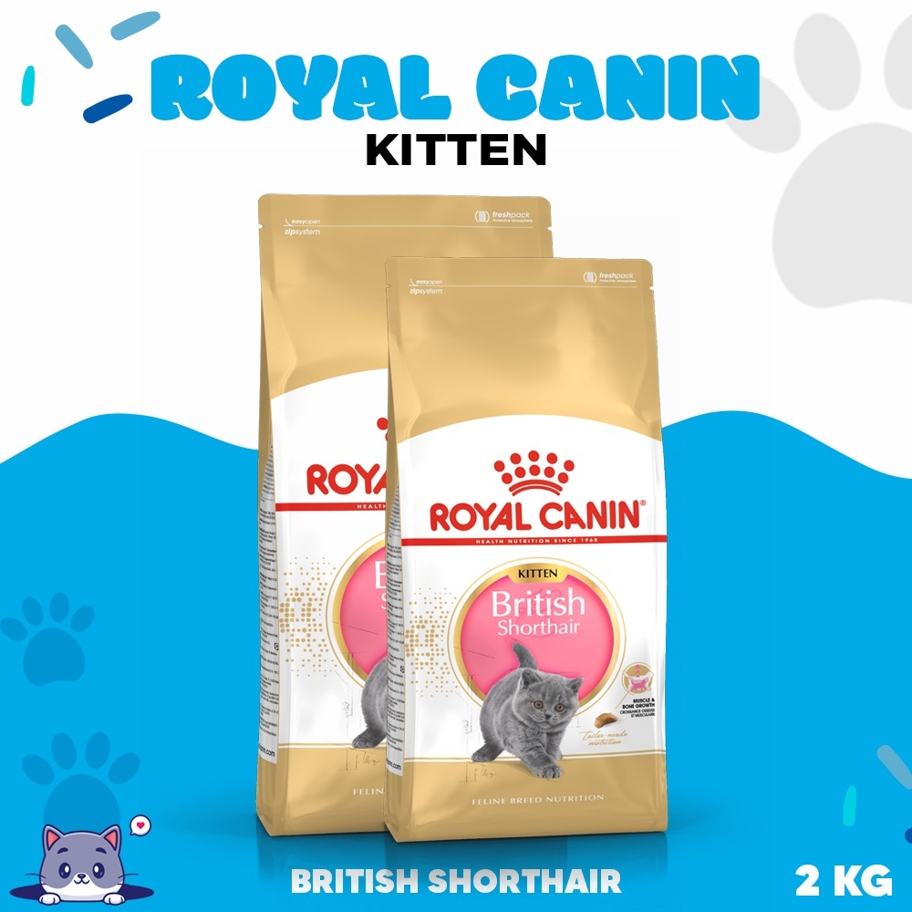 ROYAL CANIN BRITISH SHORTHAIR KITTEN - Makanan Kucing Kitten