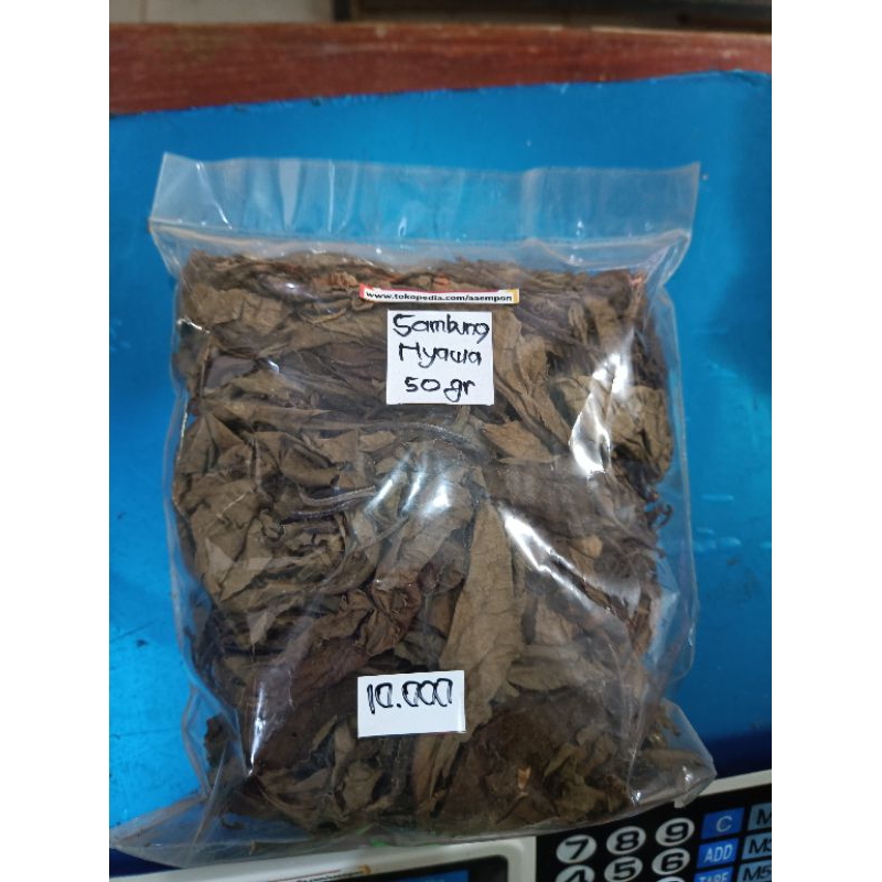 

Daun sambung nyawa/Afrika kering 50gr