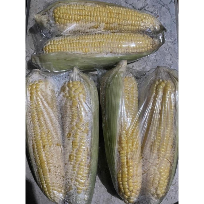 

jagung manis