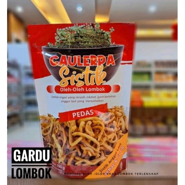

Sistik Anggur Laut //Caulerpa 150 gr Khas Lombok
