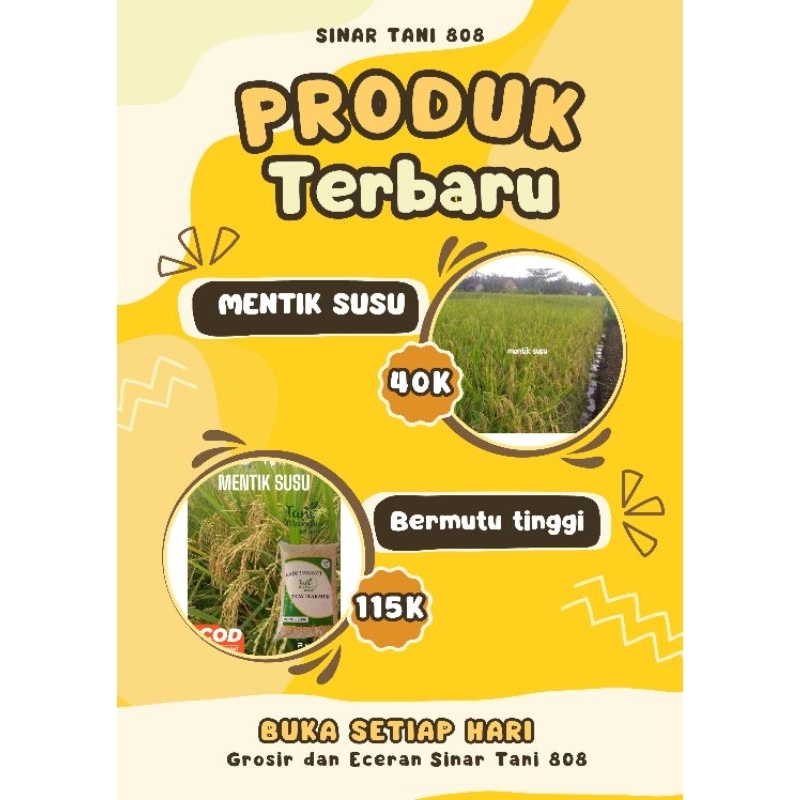 Bibit Benih Padi MentikSusu Original Kemasan 5Kg