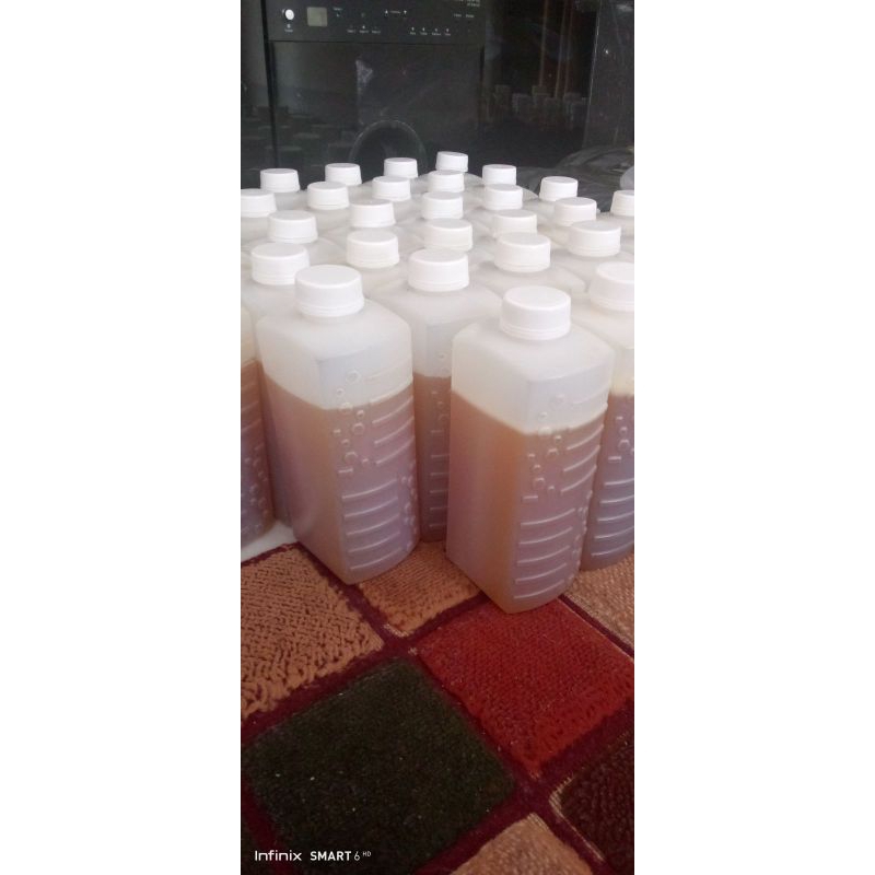 

madu hutan murni asli 100%