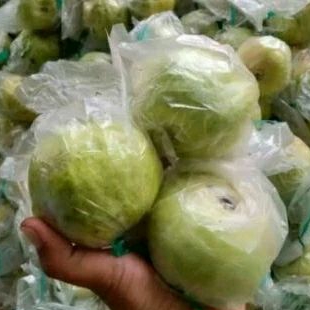 

jambu kristal kebumen mengkel 1kg