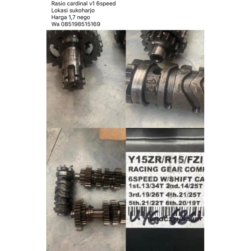 rasio cardinal mx king 6speed