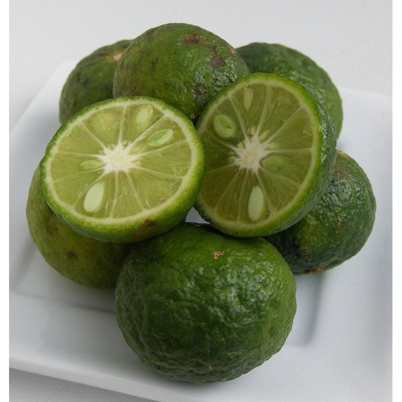 

Jeruk Limau Limo Fresh Lime 500 gr