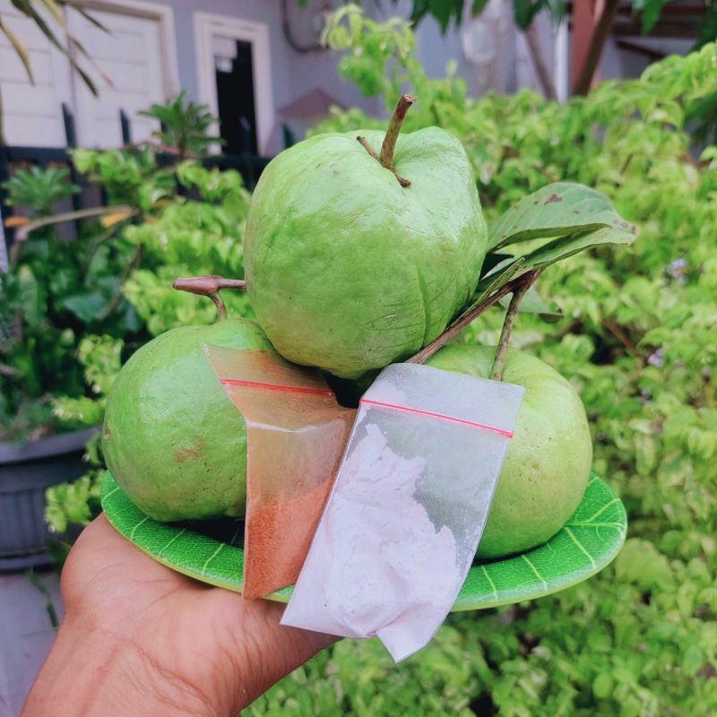 

PAKET RUJAK JAMBU KRISTAL 1KG
