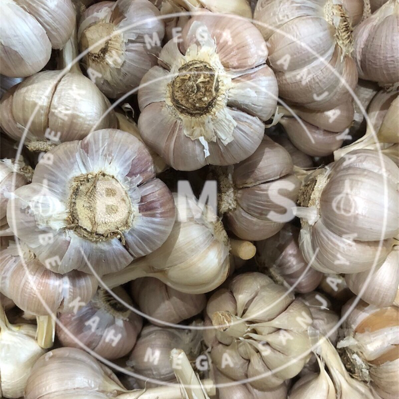 

BAWANG PUTIH KATING IMPORT PREMIUM FRESH 1KG! LUAR SURABAYA BISA ORDER!