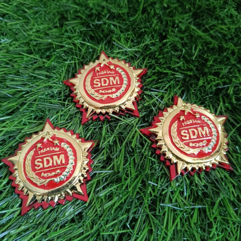 RODA SDM POLRI / PIN SDM POLRI