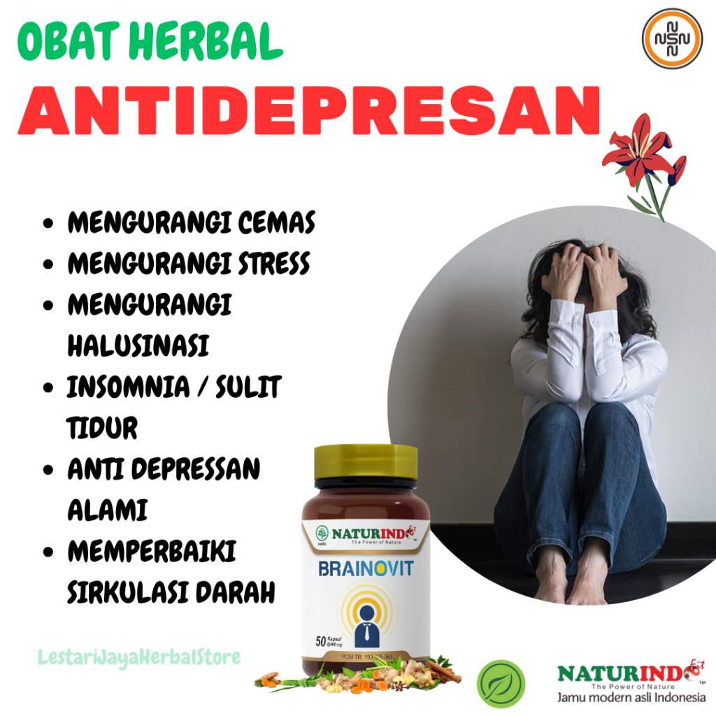 Obat Antidepresan Cemas Berlebih Insomnia Skizofrenia Paranoid Herbal Brainovit Naturindo