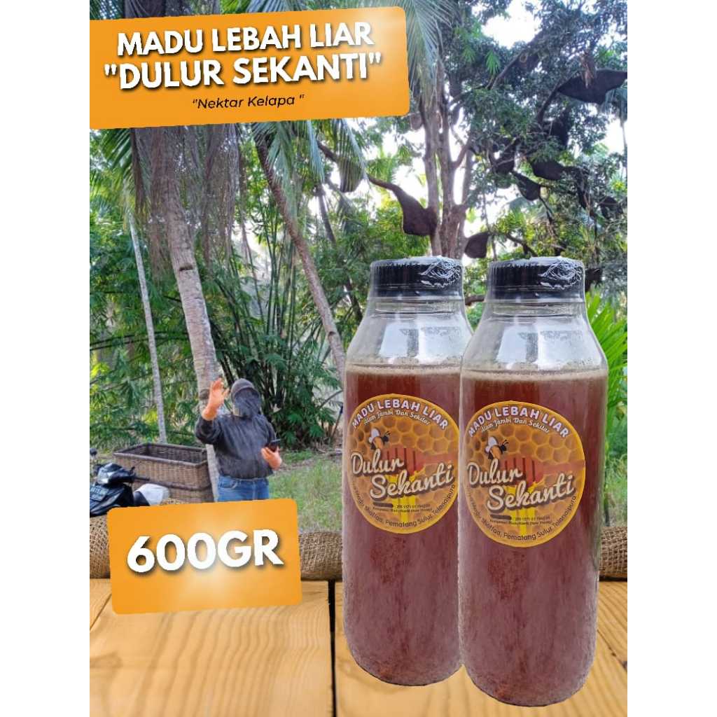 

600 gram Madu Lebah Liar Nektar Kelapa – Sensasi Menikmati Madu dengan Rasa Dogan/Kelapa Muda