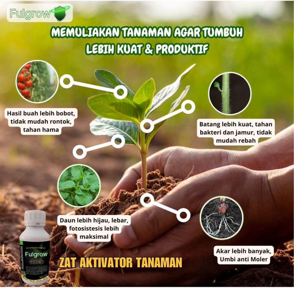 Fulgrow Zat Aktivator Tanaman Pupuk Anti Stres Obat Keriting Daun Nutrisi Pembesar Umbi Pelebat Buah