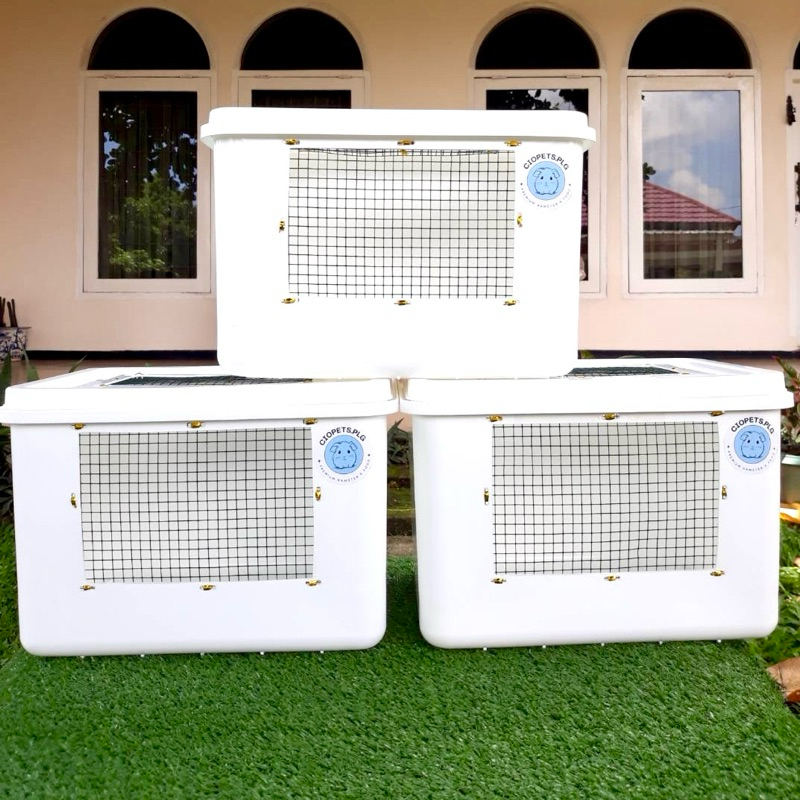 Kandang Box Modif + Botol Minum Hamster / Landak Mini / Reptil