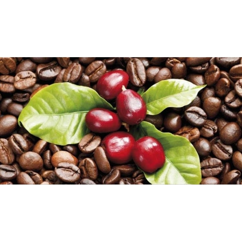 

KOPI ARABIKA TEMANGGUNG