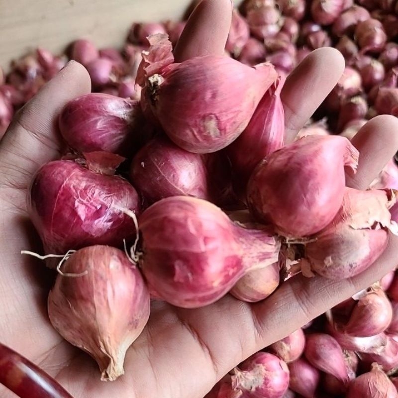 

Bawang merah asli Probolinggo 1kg