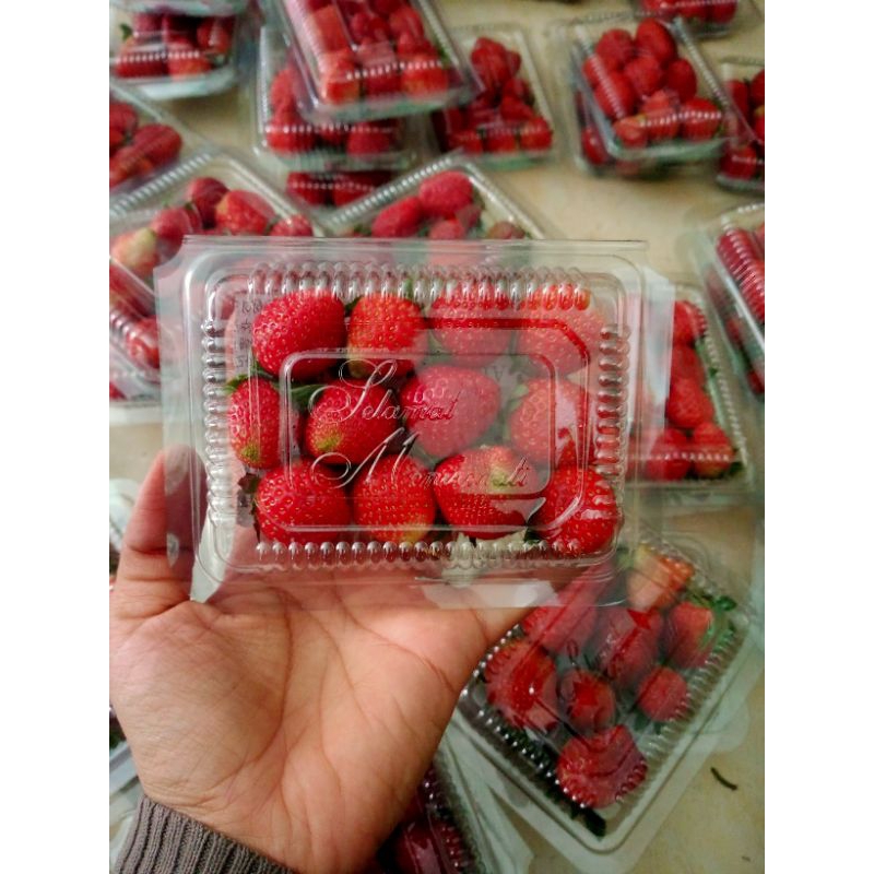 

Strawberry Lokal