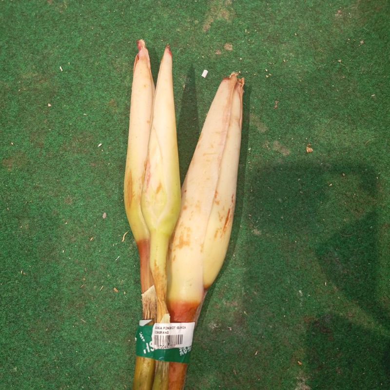 

BUNGA PONGKOT COMBRANG BONGKOT 225 GRAM