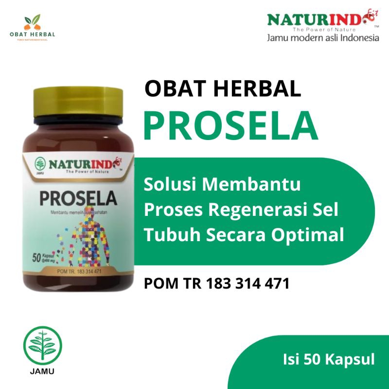 PROSELA OBAT JERAWAT DAN BEKAS JERAWAT BATU HERBAL JERAWAT PUNGGUNG PRIA DAN WANITA BRUNTUSAN WAJAH