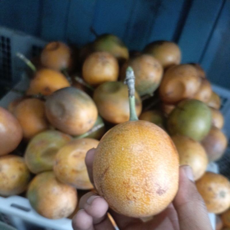 

markisa madu/ konyal