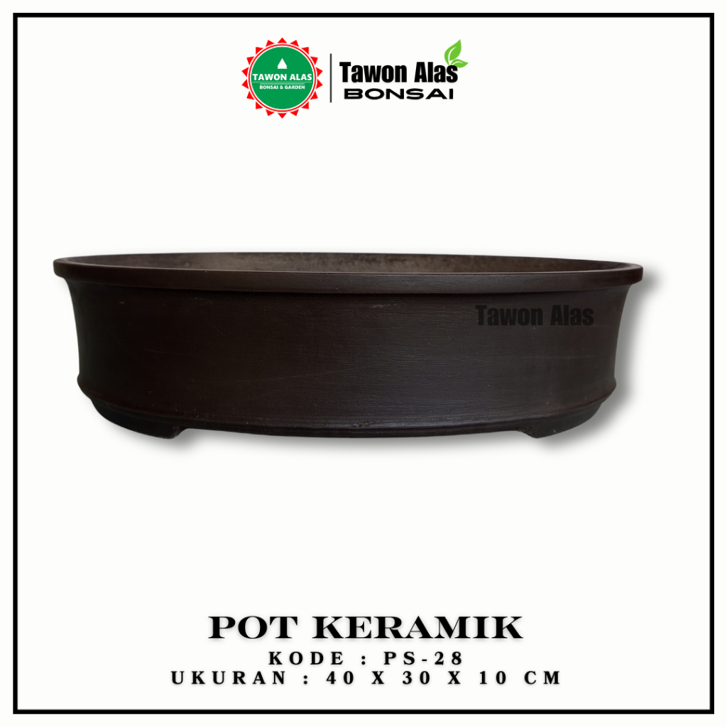 Pot Bonsai Semen Oval Small Medium Bagus