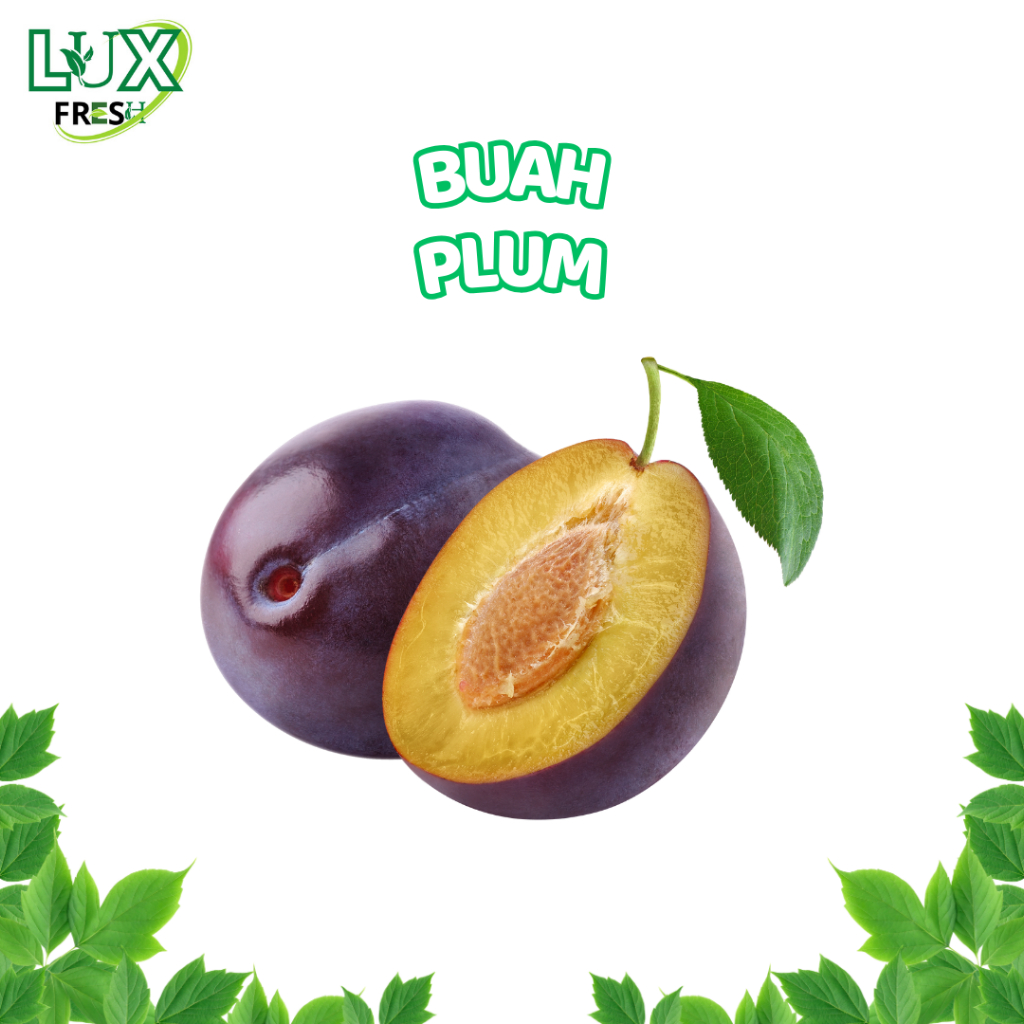 

BUAH PLUM 500 GRAM DAN 1 KG SEGAR DAN BERKUALITAS