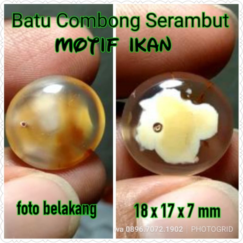 batu combong motif ikan asli natural