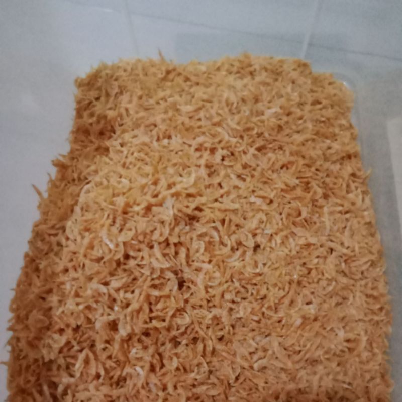 

Udang Rebon / Mentah