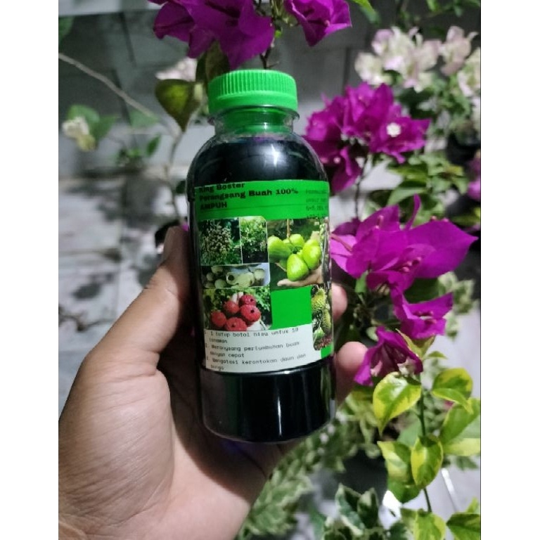 Kepuasan Belanja pupuk king booster