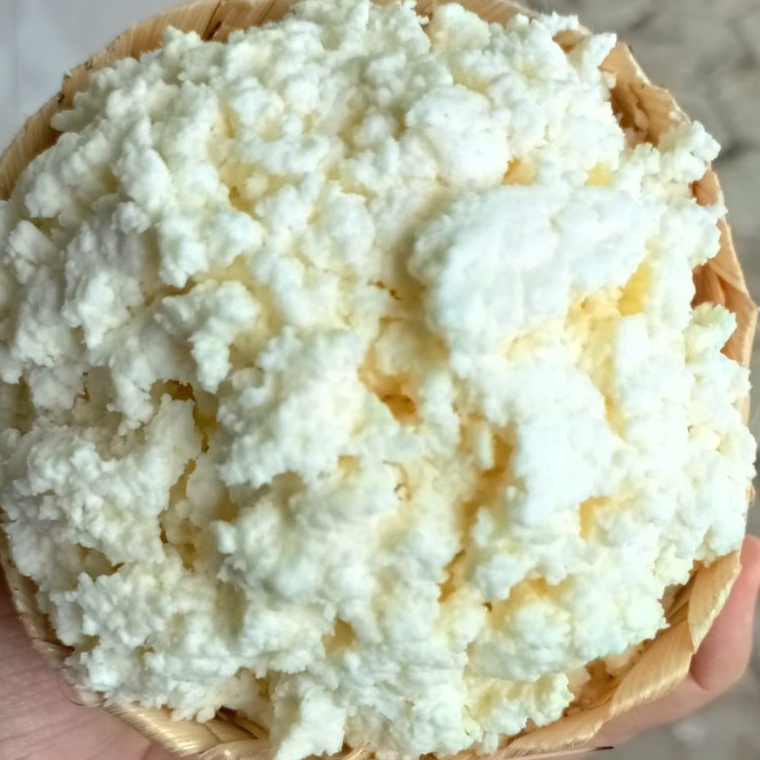 

Produk Terbaik Bibit Kefir 5 gram Anti Gagal