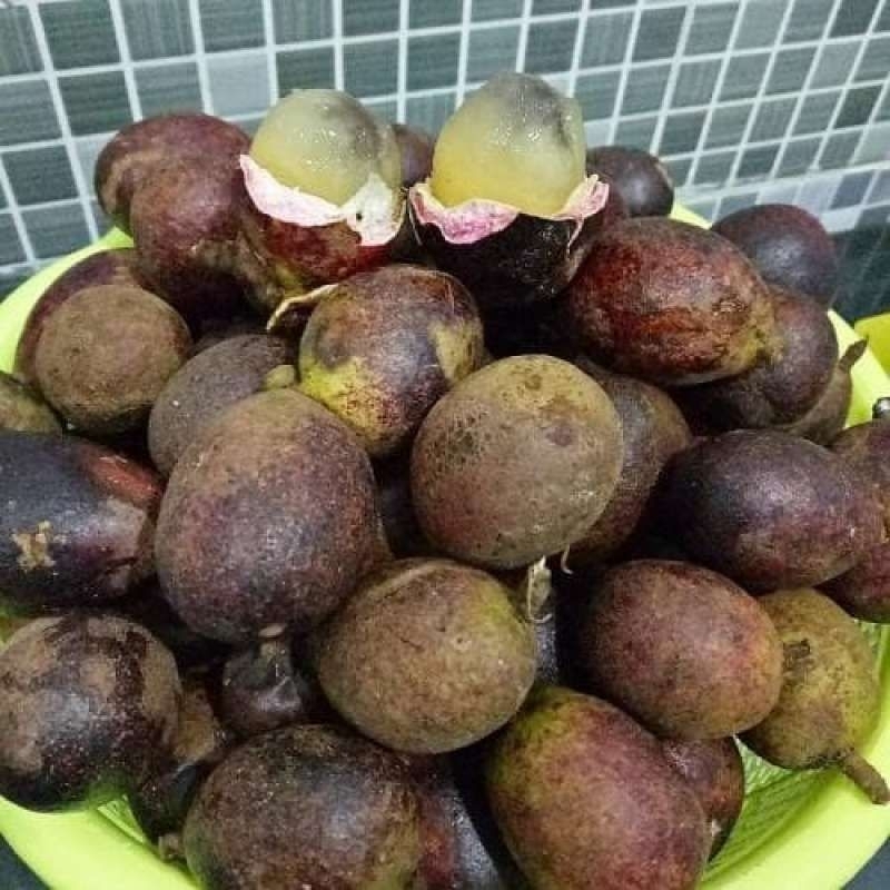

Buah matoa segar