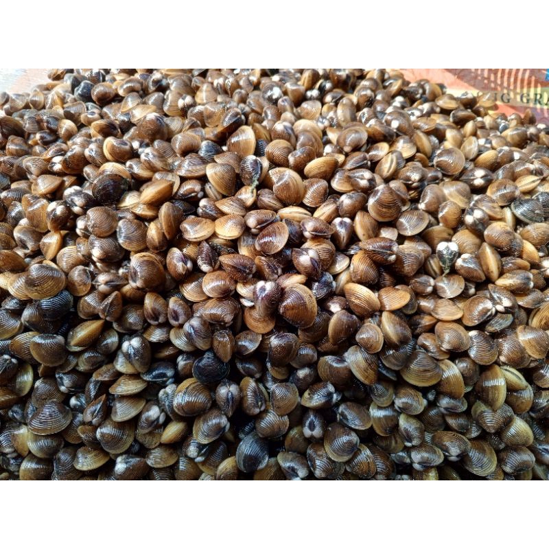 

Remis laya pensi kemasan lepas vakum 1kg